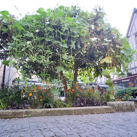 Le Perroquet Fringant, Rue Pietonne Et Quartier Historique Lejlighed Caen Eksteriør billede